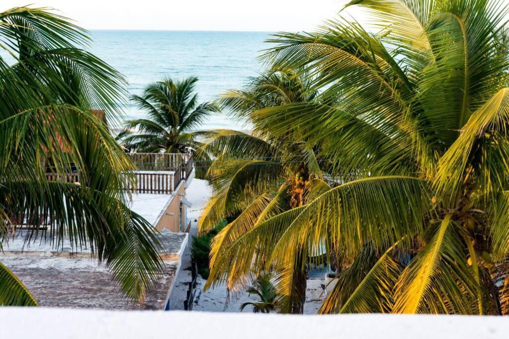 Costa Esmeralda 埃尔库约 外观 照片
